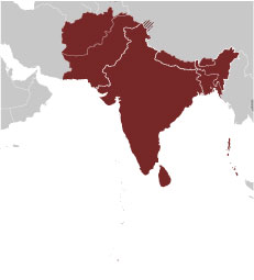 SOUTH ASIA